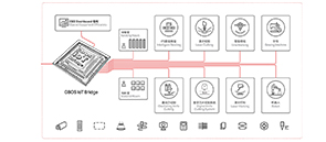 IoT System