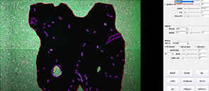 AI智能皮革排版系统