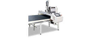 Automatic labeling(Optional)