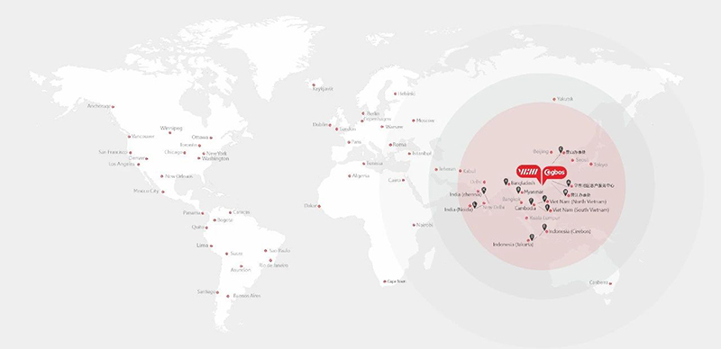 “GLOBALIZATION” STRATEGY