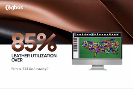 Over 85% Leather Utilization! Why Is ITS3 So Amazing?